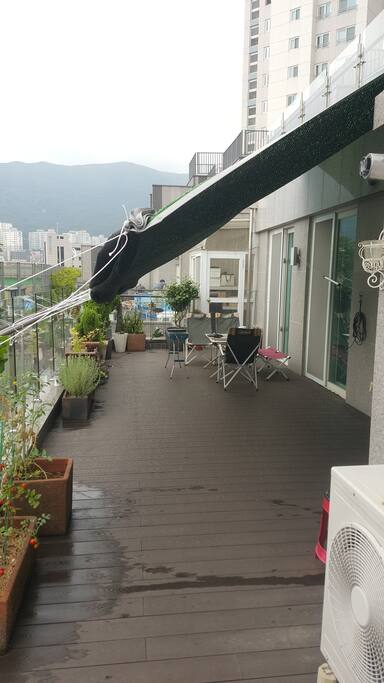 햇볕이 뜨거워 그늘막
설치 했습니다 ~