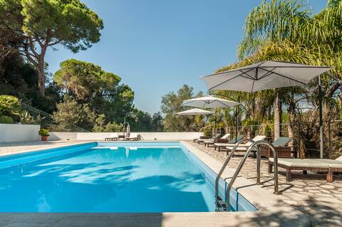 Luxury Villa with swimming pool