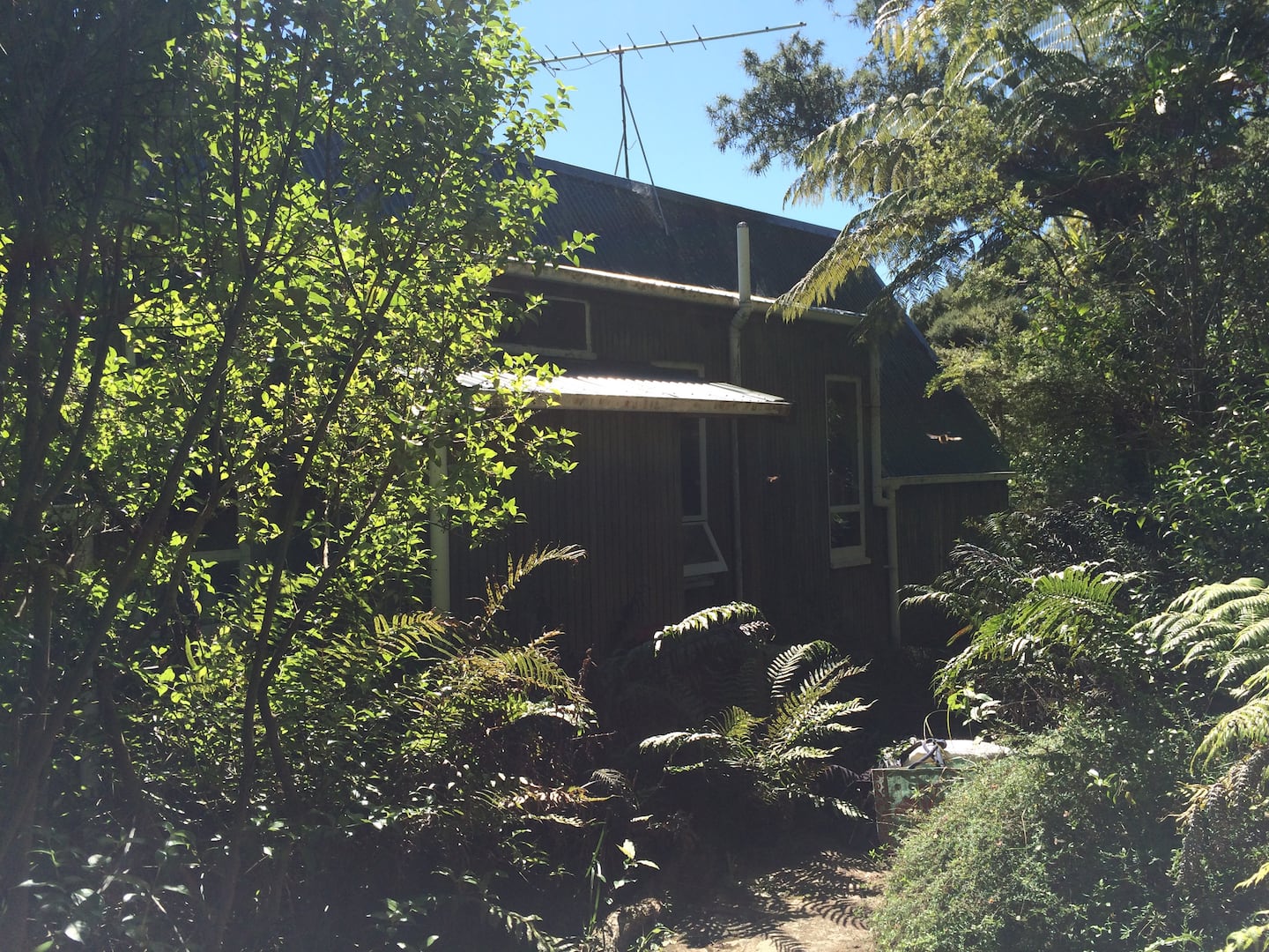 Lone Kauri Cabin 4