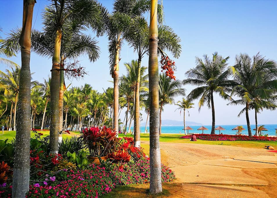 小区美丽的私属海滩