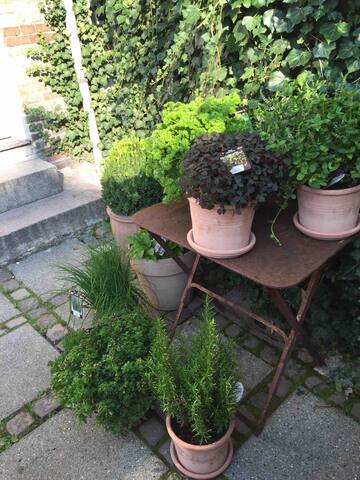 Town house in best area, 200sqm, private garden gallery image 4