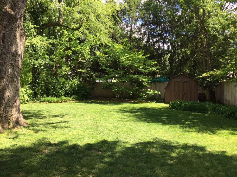 Backyard