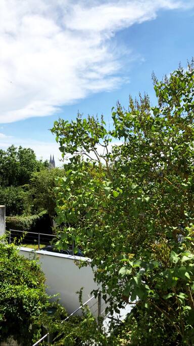 FENSTERBLICK