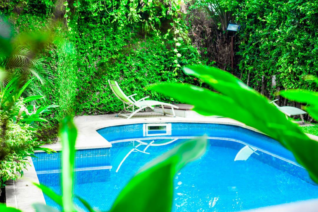 A well-maintained pool is surrounded by lush greenery, with a few lounge chairs positioned nearby. The water is calm, reflecting the vibrant plants that frame the scene, creating a serene outdoor space for relaxation.