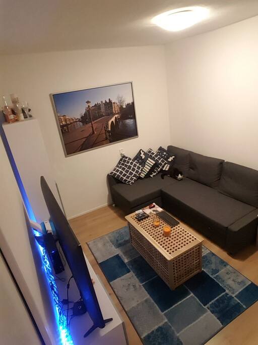Living room with TV 65 inches, internet 150 mb/s.