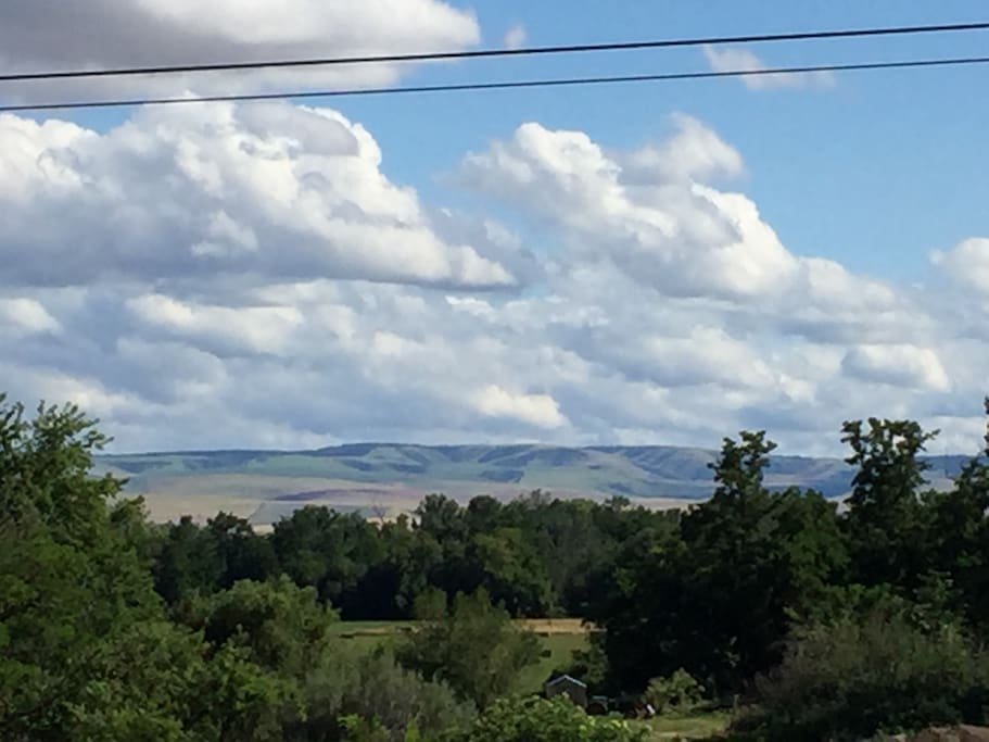 View from private back deck