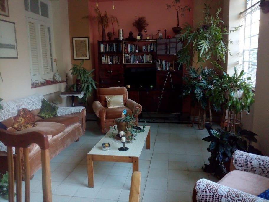 Nice living room