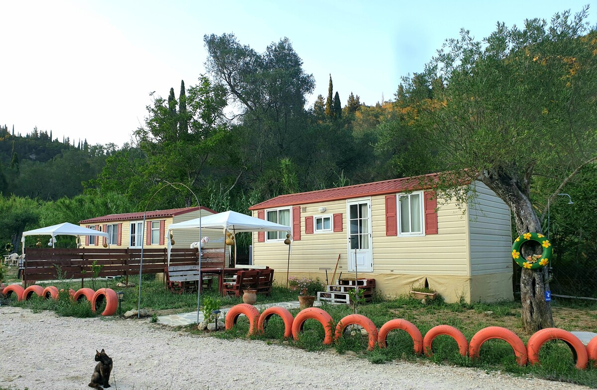 Two cozy trailers are positioned amidst lush greenery, featuring multiple windows that invite natural light. A gravel pathway leads to each unit, while shaded areas provide relief from the sun. Nearby, vibrant tires are arranged decoratively along the ground.