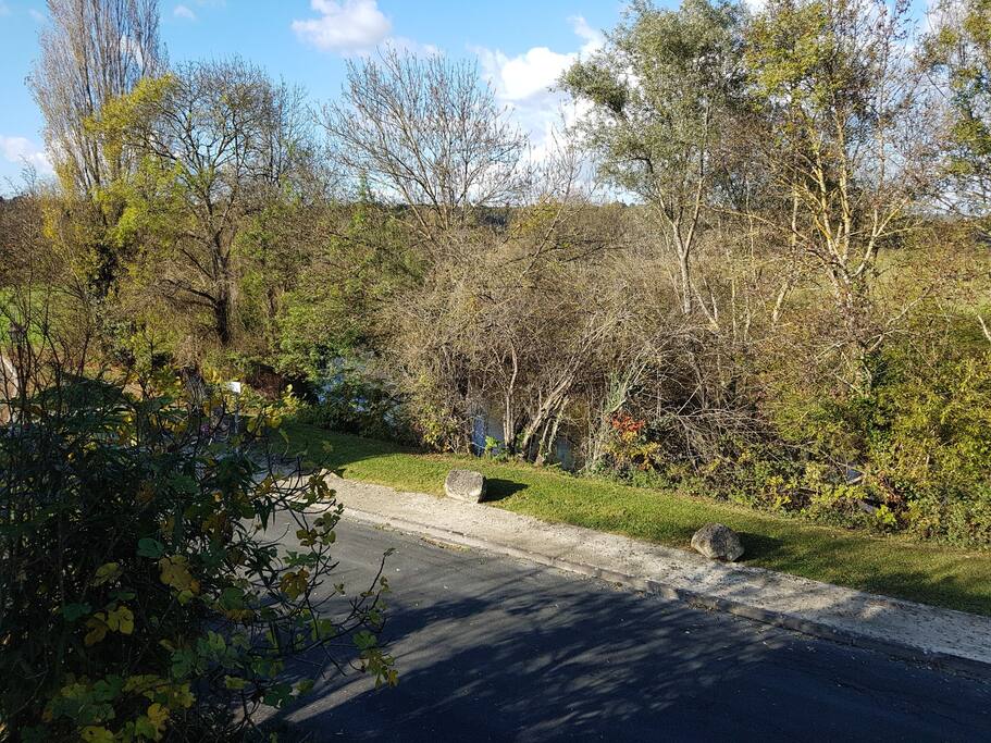 vue sur la rivière de la chambre