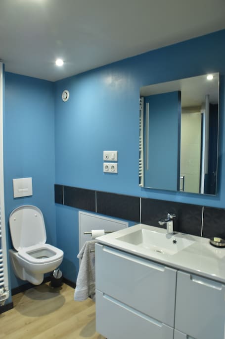 Salle de bains privée (WC, lavabo, douche)
