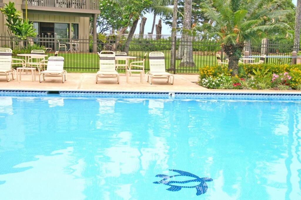 Oceanfront Condo, Wailua Bay Apartments for Rent in Kapaa, Hawaii