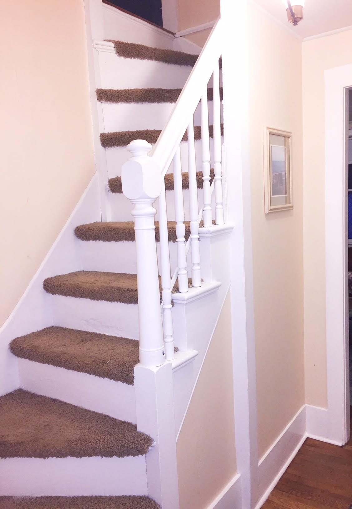 A well-maintained staircase is featured, with soft, carpeted steps leading up to the second floor. White spindles and a handrail provide a welcoming touch, while light walls add to the sense of space. A small framed picture is visible on the adjacent wall.