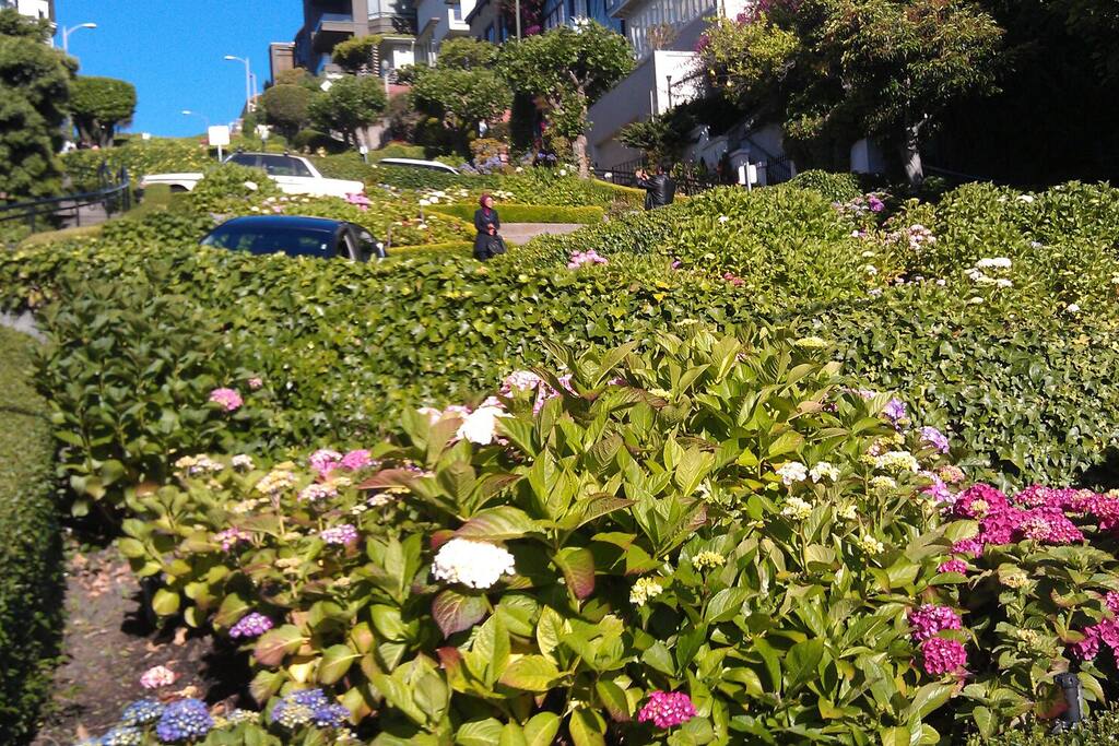 lombard street two blocks away: sip ur coffee as u laugh at the tourists stuck in their stupid cars