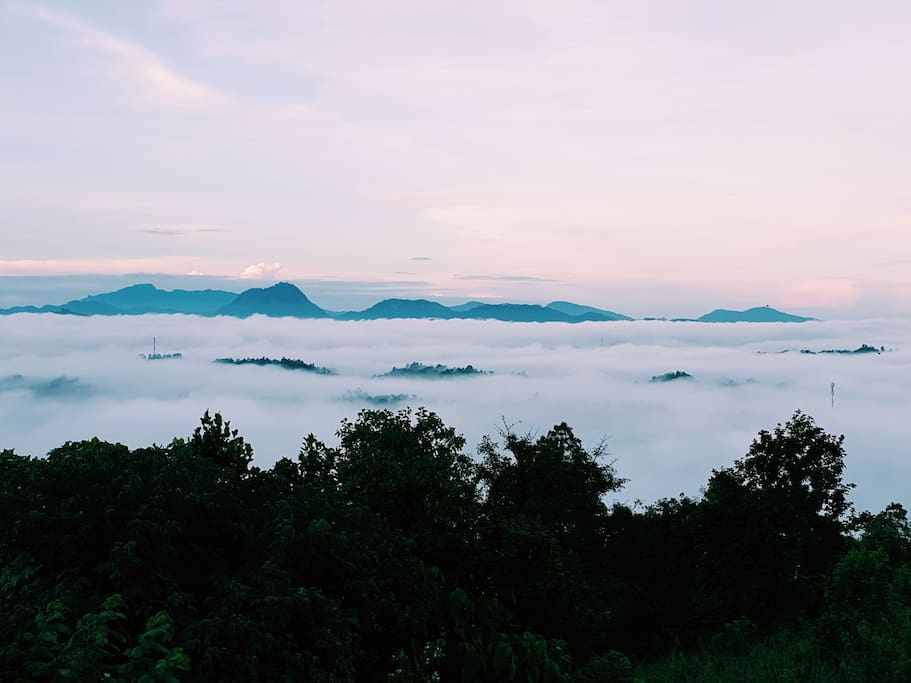 Misty mornings
