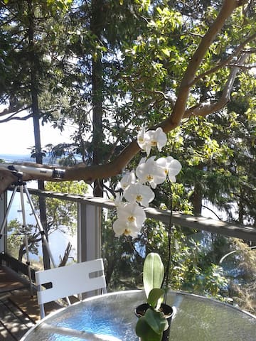 Galiano Harbour View House