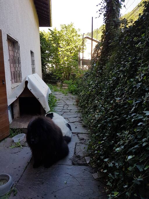 Giardino interno