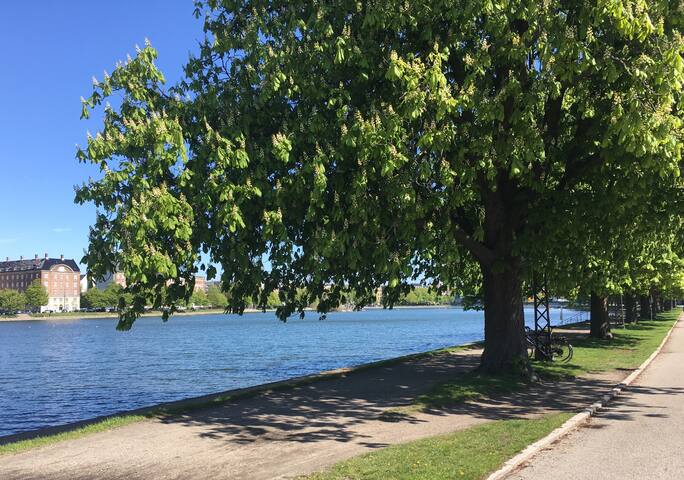 Charming townhouse with garden in Copenhagen city