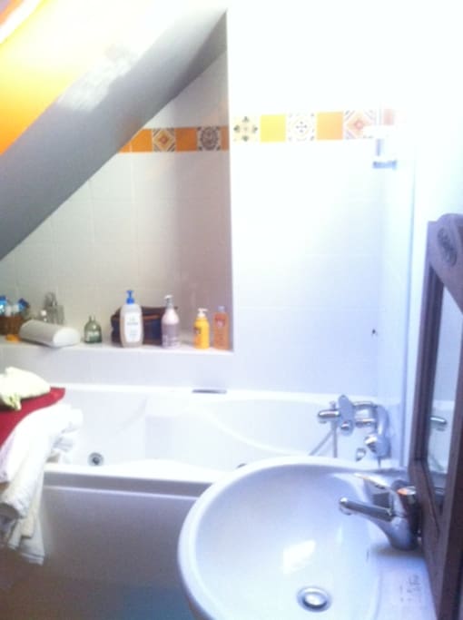 salle de bains et toilettes