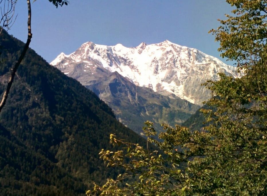 MONTE ROSA