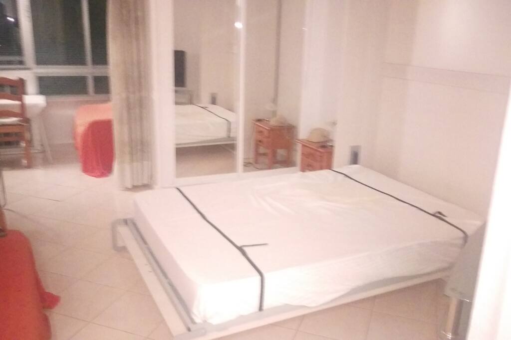 Pull Down Double Bed in the main living room