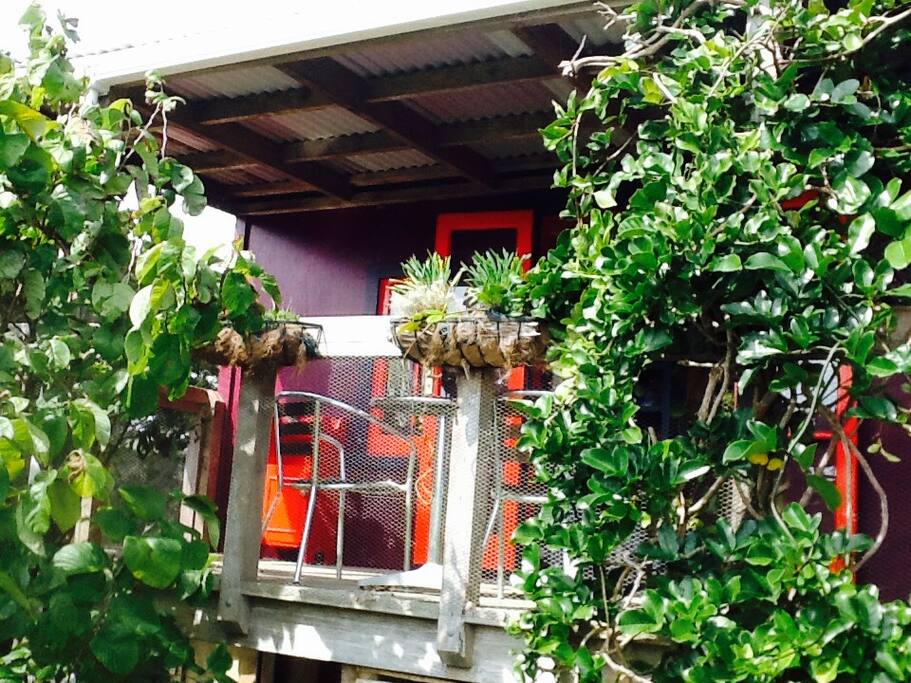 Tui Cottage.
