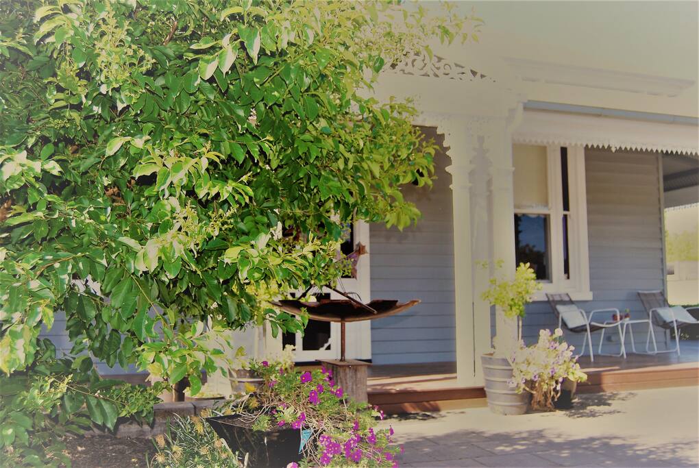 The front yard.