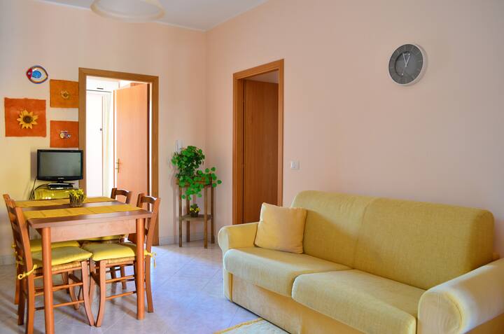 meublé, cuisine , salon , avec canapé-lit 