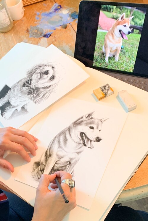 Mostrar imagem fornecida pelo anfitrião em ecrã inteiro