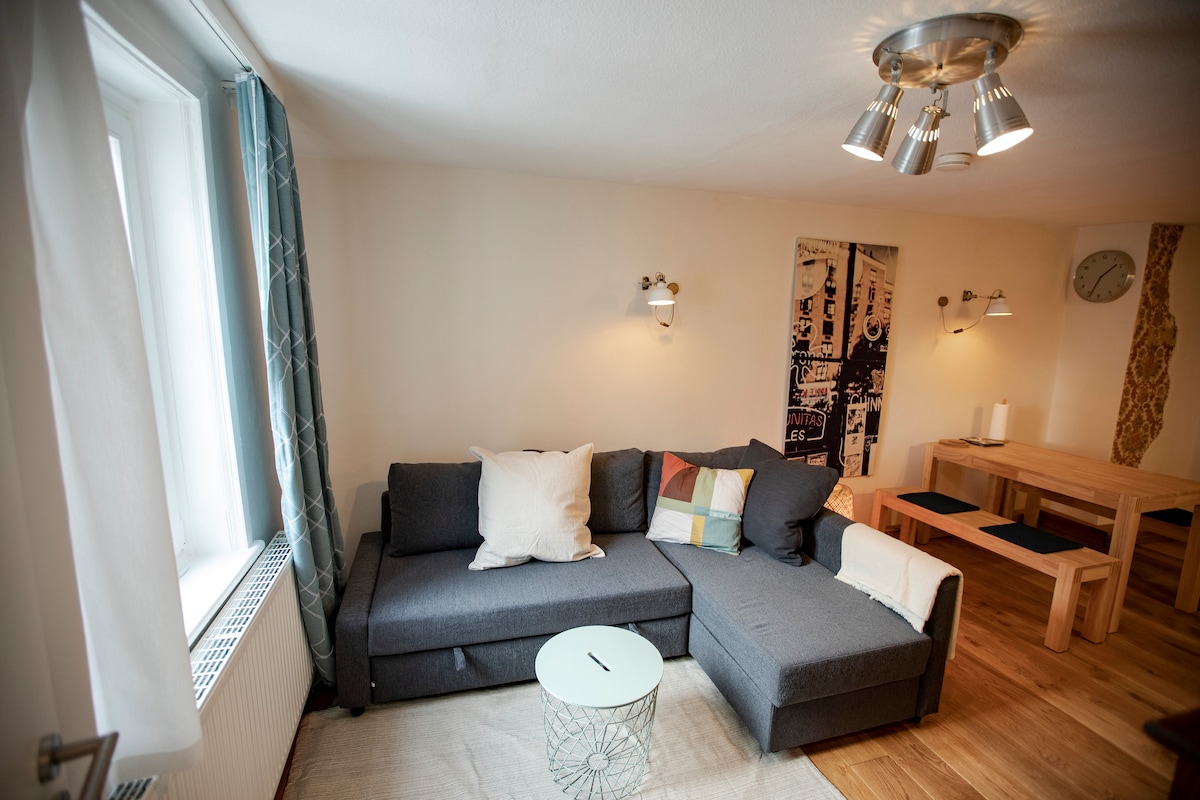 Living area with sofa bed