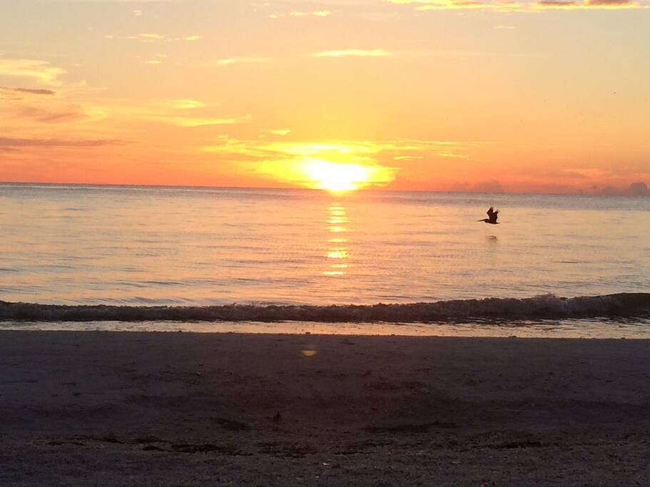 Amazing sunsets