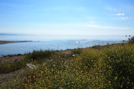 Download Dos dormitoris platja enfront de la mar murta Free HD Dos Dormitoris Platja Enfront De La Mar Murta