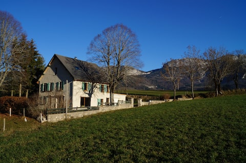 Beautiful home in the heart of Vercors