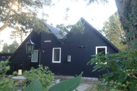 Cozy Holiday cottage at Ringkøbing Fjord