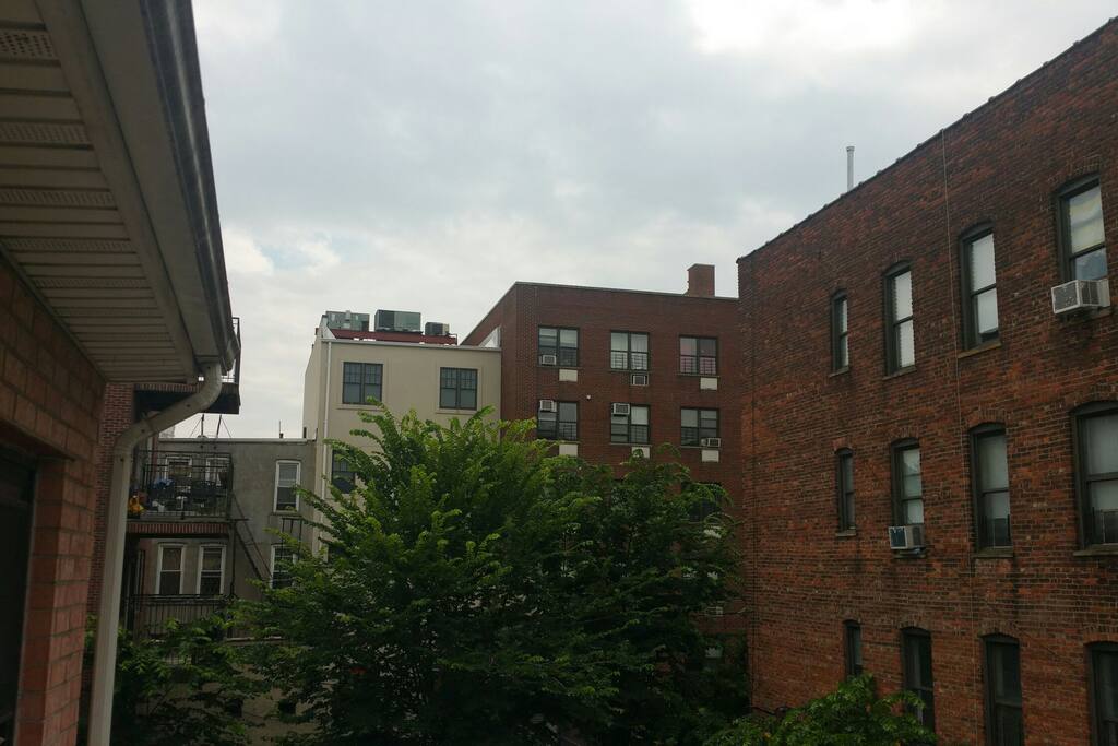 View from Porch