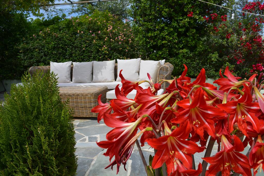Relaxing in the garden