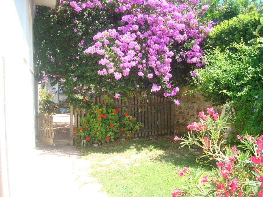 Giardino privato e vialetto di accesso