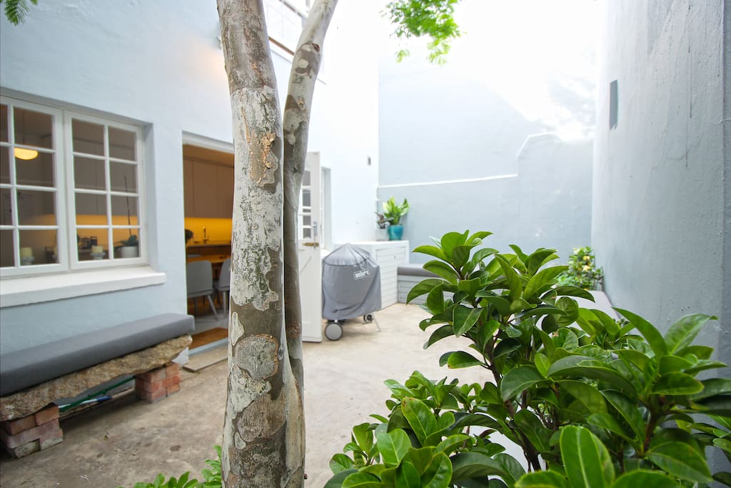 Spacious back courtyard area with bbq and outdoor shower