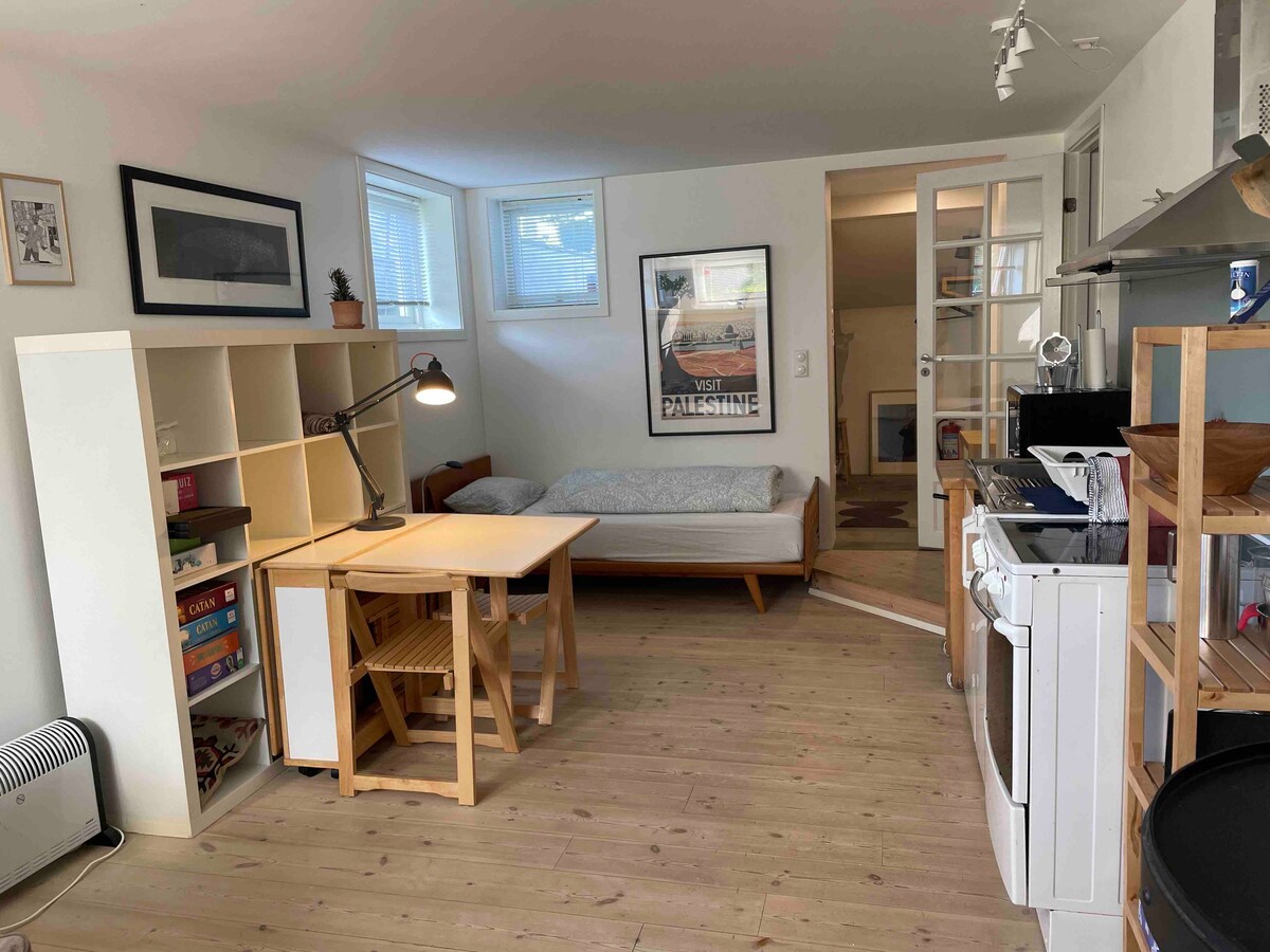 A compact living space is showcased with a cozy sleeping area featuring a single bed and a wooden table with chairs. Bookshelves provide storage and display space, while natural light filters through windows. A kitchenette and a doorway to a private bathroom are also visible.