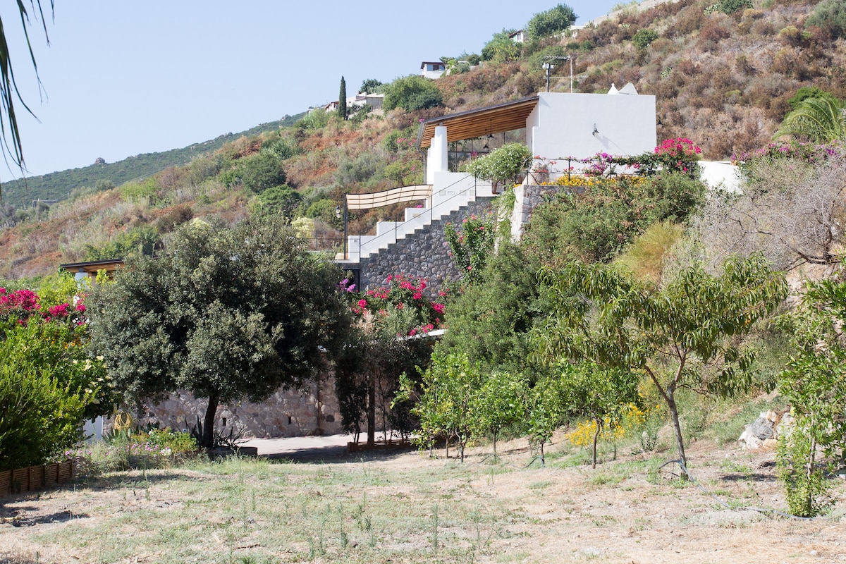 A hillside property is surrounded by greenery and blooming flowers, with a stone pathway leading to a stairway. The structural elements blend with the natural landscape, showcasing a combination of plant life including trees and shrubs. The setting is peaceful and offers a scenic view.