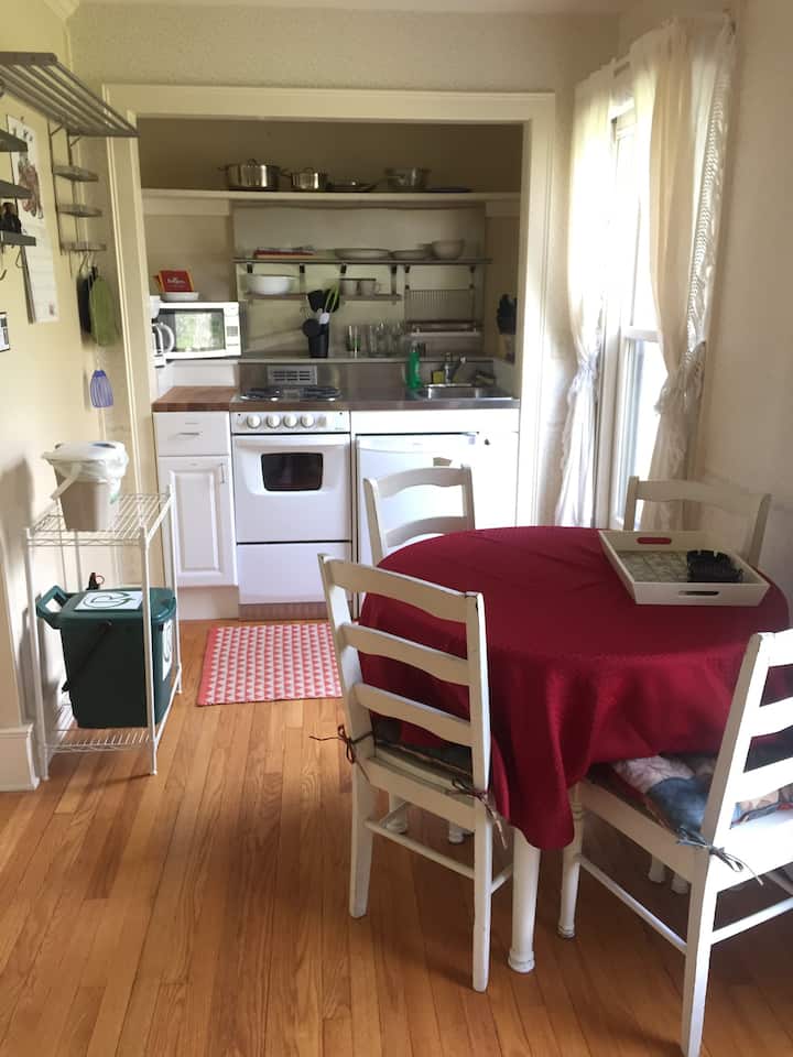 Newly Remodeled One Bedroom Apartment - イサカ, NY