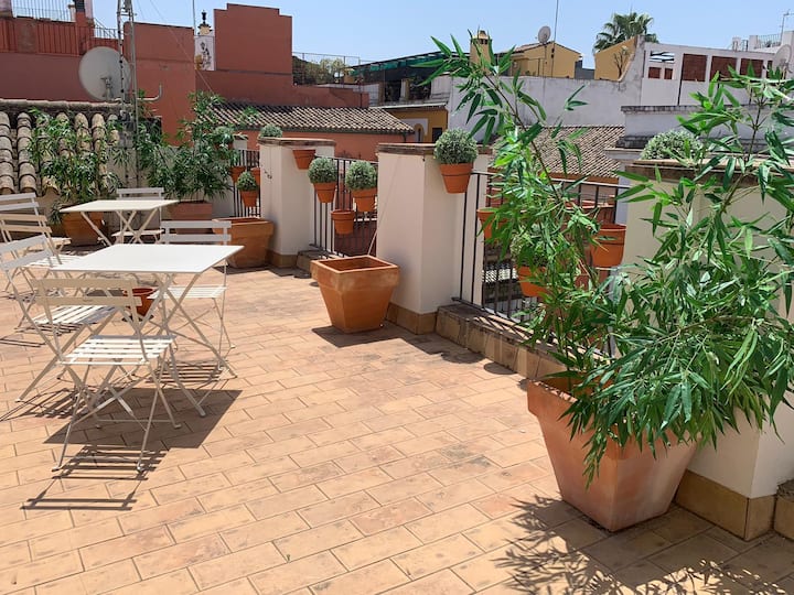 Comfortable Apartment in Seville