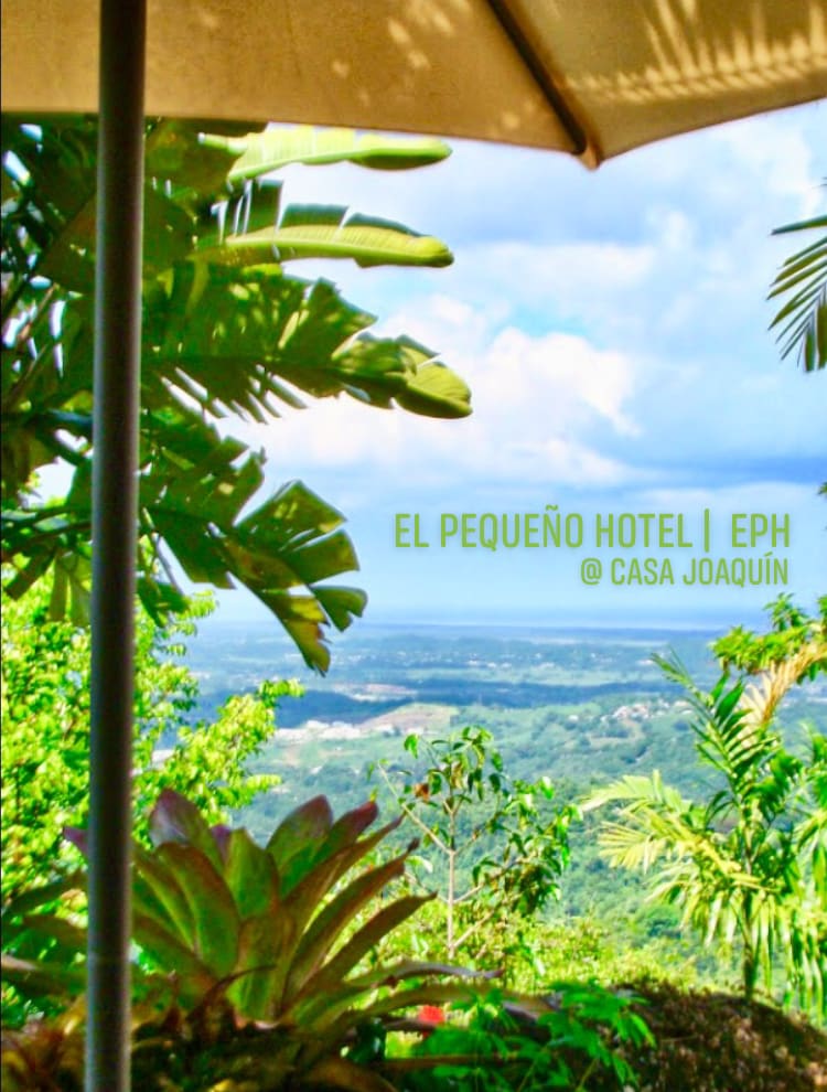 A scenic view of the surrounding hills and valleys is framed by lush tropical foliage and palm leaves. The image captures the vibrant greenery under a partly cloudy sky, with the tranquil landscape evoking a sense of natural beauty and serenity.