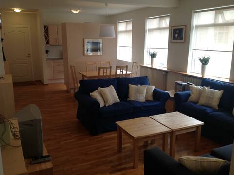 Exclusive Reykjavik center location