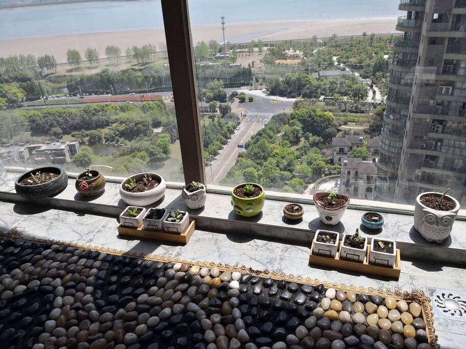 有个大大的阳台,可以在这里看看多肉,看看窗外的江景,和同伴晒晒太阳聊聊天。