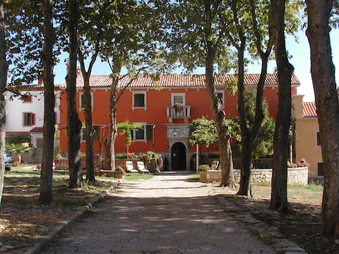 Popular Airbnb listing: Palace Lazzarini-Battiala apartment "Kostanj" in Marceljani