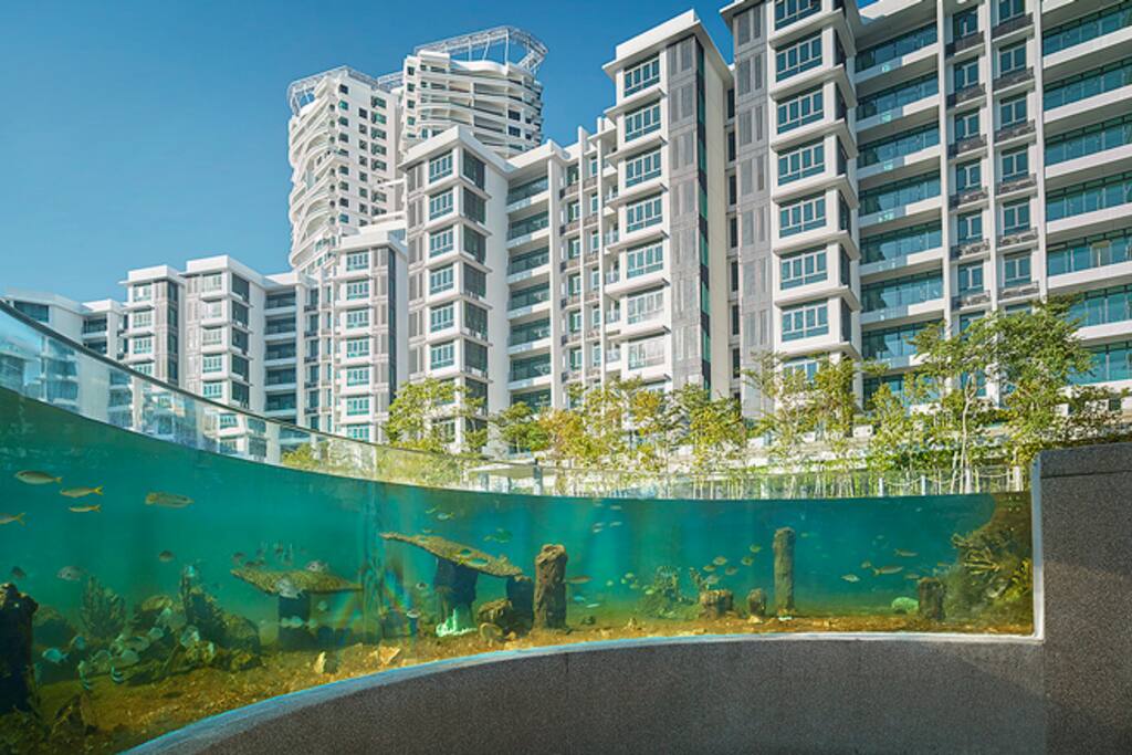 Viewing area of the Marine Lake