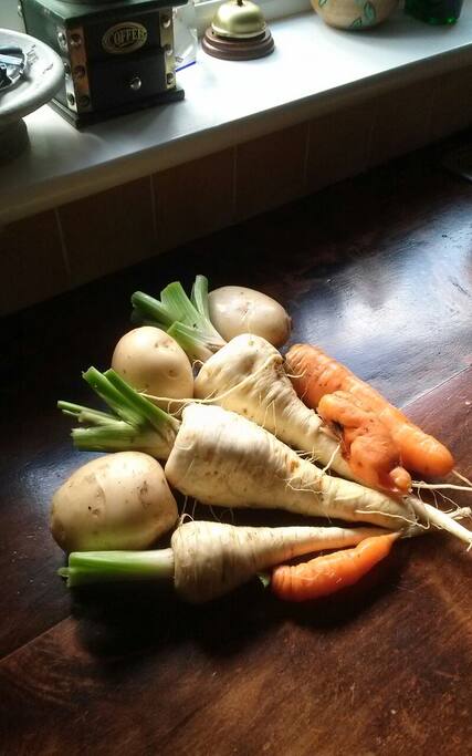 Fresh organic vegetables from our garden.