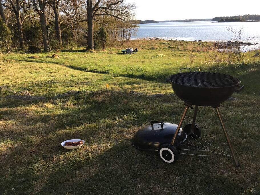Stor grässlänt mot havet