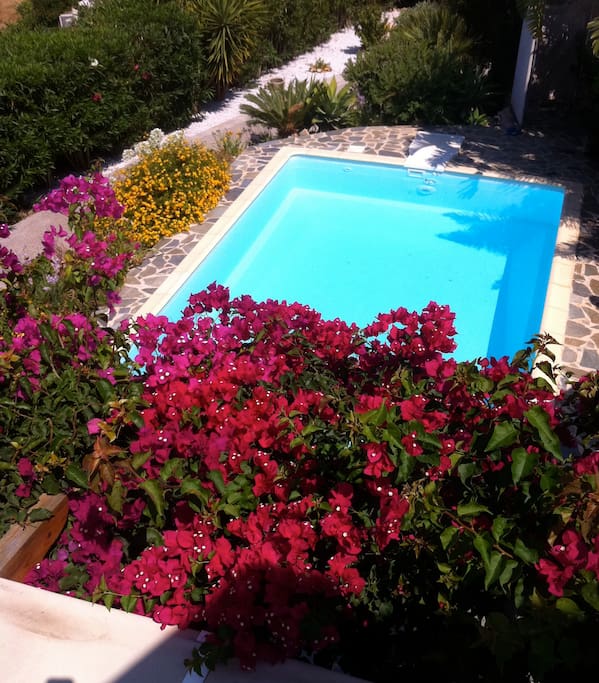 24 qm2 Pool
mit Jetstream