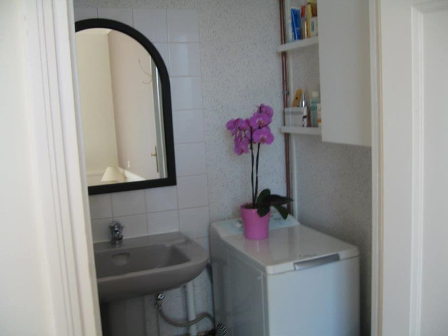 Accès direct à la salle de bain : douche et lavabo